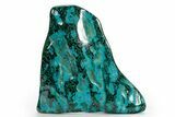 Vibrant Polished Malachite with Chrysocolla - DR Congo #320439-1